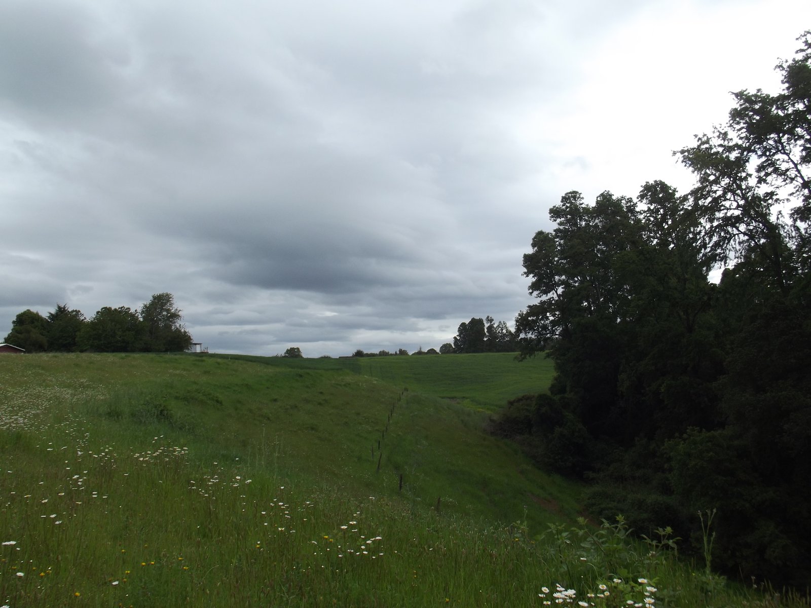 Parcelas en sector Huacahue en la comuna de La Unión Región de Los Ríos